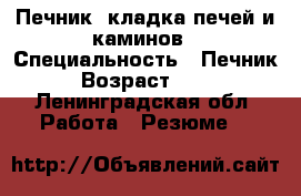 Печник, кладка печей и каминов › Специальность ­ Печник › Возраст ­ 45 - Ленинградская обл. Работа » Резюме   